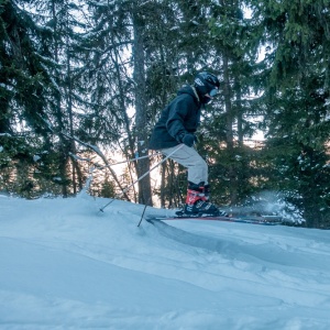 Presque un hors-piste en descendant dans les sapins vers Plagne Montalbert