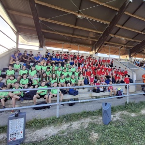 Cross district : de belles délégations collégiennes au stade municipal