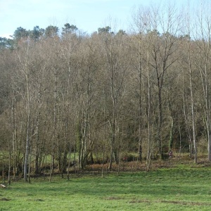 Entre St Martial et St Pantaly